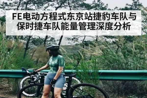 FE电动方程式东京站捷豹车队与保时捷车队能量管理深度分析